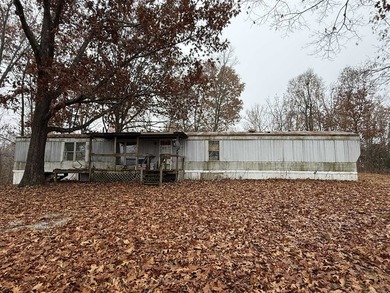 Lake Home For Sale in Lewisburg, Kentucky