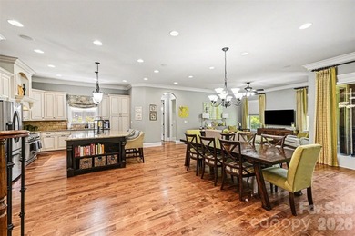 **$20,000 SELLER CONCESSION WHICH CAN BE USED TOWARDS AN - photo 3
