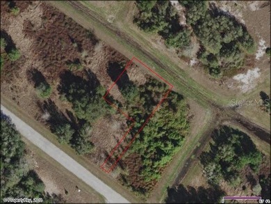 Lake Marion - Polk County Lot For Sale in Poinciana Florida