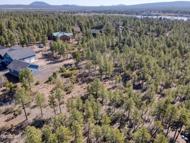 Lake Lot For Sale in Lakeside, Arizona