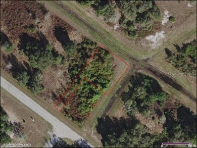 Lake Marion - Polk County Lot For Sale in Poinciana Florida