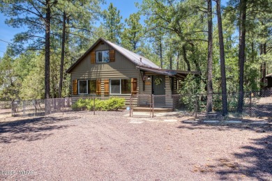 Lake Home For Sale in Lakeside, Arizona
