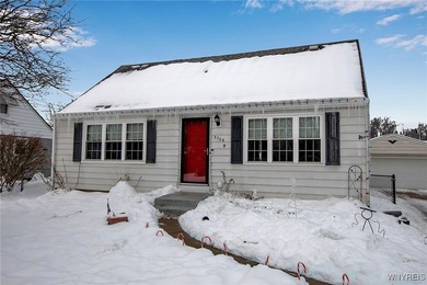 Lake Erie Home Sale Pending in Lake View New York