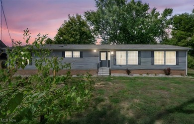 Springfield Lake Home Sale Pending in Lakemore Ohio