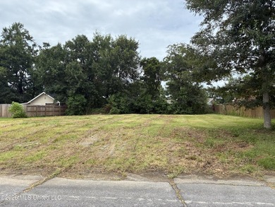 Build your dream home on this prime lot in the desirable Ville - photo 3