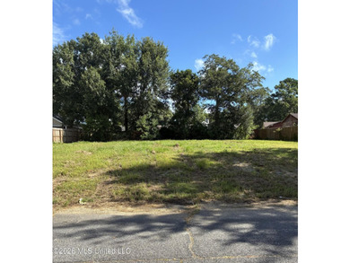Build your dream home on this prime lot in the desirable Ville - photo 7