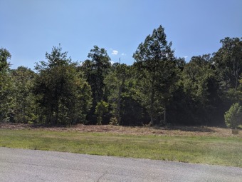 Wow!! $11,995 Homesite in Grande Vista Bay - Lake Lot For Sale in Rockwood, Tennessee