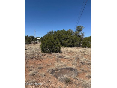 Lake Lot For Sale in Show Low, Arizona