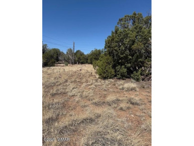 Lake Lot For Sale in Show Low, Arizona