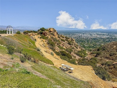 Discover a once-in-a-lifetime opportunity at 10200 Lilac Lane - photo 19