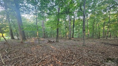 Lake Lot For Sale in Lake Sherwood, Missouri