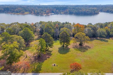 This stunning deep-water lake lot on Lake Hartwell offers 110 - photo 2
