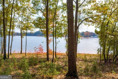This stunning deep-water lake lot on Lake Hartwell offers 110 - photo 3