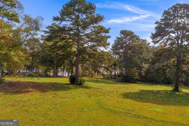 This stunning deep-water lake lot on Lake Hartwell offers 110 - photo 4