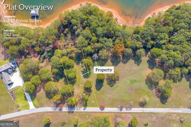 This stunning deep-water lake lot on Lake Hartwell offers 110 - photo 10