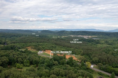 Hiwassee River Acreage For Sale in Calhoun Tennessee