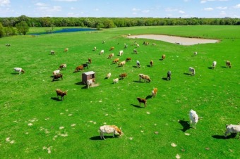 Longhorn Ranch with Private Ponds! SOLD - Lake Home SOLD! in Eustace, Texas