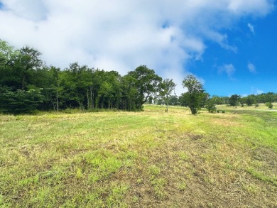 Off Water Corner Lot w/Boat Slip! Lake Views! - photo 19