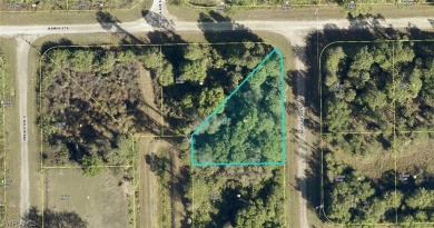 Lehigh Acres Area Lot For Sale in Lehigh Acres Florida