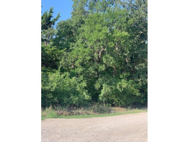 Lake Ray Roberts Lot For Sale in Valley View Texas