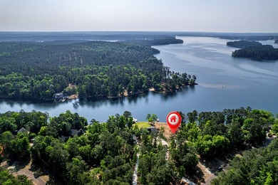 Stunning lakefront lot on Lake Sinclair! Located in a desirable - photo 2