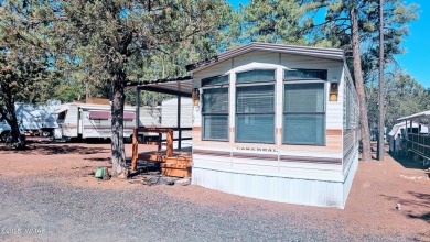 Lake Home For Sale in Lakeside, Arizona