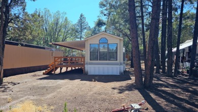Lake Home For Sale in Lakeside, Arizona