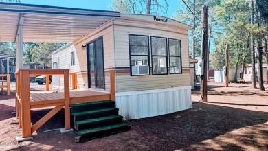 Lake Home For Sale in Lakeside, Arizona