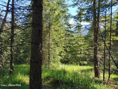 Lake Acreage For Sale in Saint Maries, Idaho