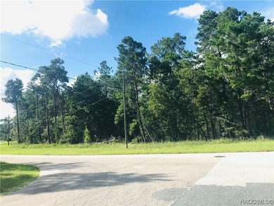 New 70 Estate Lot Subdivision plan w/ gated Enclave at Oak - photo 11