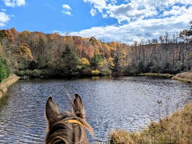 One of the most spectacular views you will find in southwest - photo 37