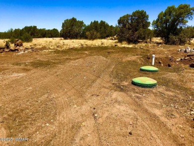 Lake Lot For Sale in Show Low, Arizona