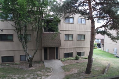 Lake Condo For Sale in Fox Lake, Illinois