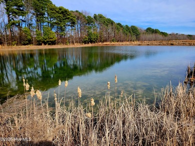 (private lake, pond, coastal) Acreage For Sale in Turkey North Carolina