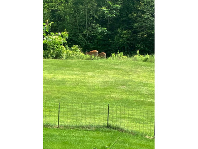 Welcome to beautiful Western Maine! Located 3.5 miles from - photo 60