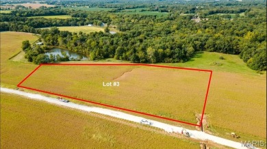 Lake Acreage For Sale in Silex, Missouri