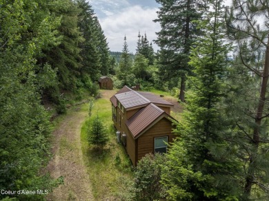 Lake Home For Sale in Harrison, Idaho