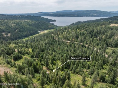 Lake Acreage For Sale in Harrison, Idaho