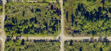 Silver Lake - Marion County Lot Sale Pending in Ocklawaha Florida