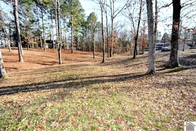 4.89 BEAUTIFUL ROLLING ACRES! WATER VIEWS YR ROUND, 2,000 FT TO - photo 37
