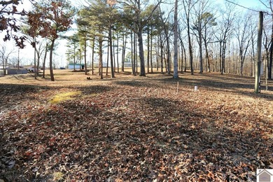 4.89 BEAUTIFUL ROLLING ACRES! WATER VIEWS YR ROUND, 2,000 FT TO - photo 38