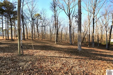 4.89 BEAUTIFUL ROLLING ACRES! WATER VIEWS YR ROUND, 2,000 FT TO - photo 39