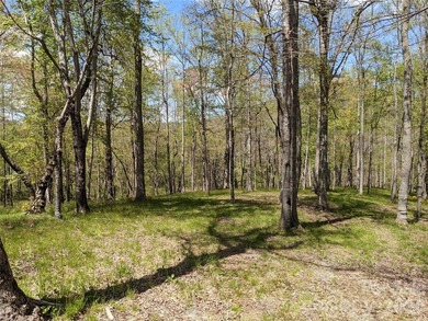 3.13 acres. 773 feet of stream frontage. Steps from the wellness - photo 1