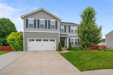 Lake Hodgeson  Home For Sale in Ravenna Ohio