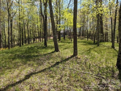 3.13 acres. 773 feet of stream frontage. Steps from the wellness - photo 2