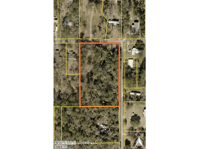 3 acres partially cleared and ready to build your dream home - photo 2