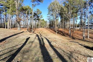4.89 BEAUTIFUL ROLLING ACRES! WATER VIEWS YR ROUND, 2,000 FT TO - photo 42