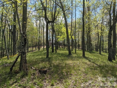 3.13 acres. 773 feet of stream frontage. Steps from the wellness - photo 4