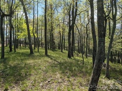 3.13 acres. 773 feet of stream frontage. Steps from the wellness - photo 6