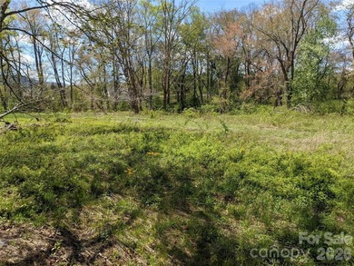 3.13 acres. 773 feet of stream frontage. Steps from the wellness - photo 10